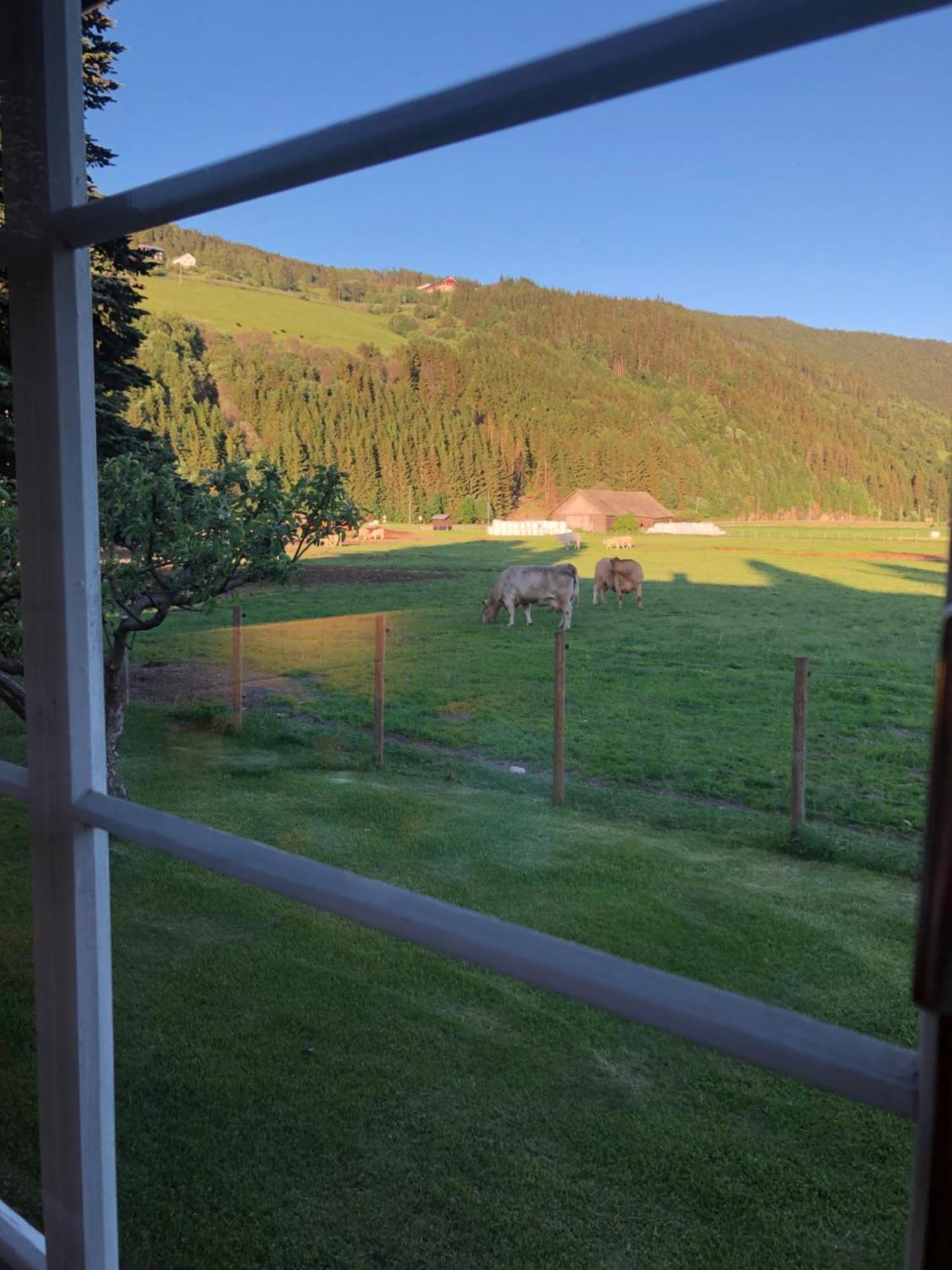 Villa Soltun Ringebu Dış mekan fotoğraf